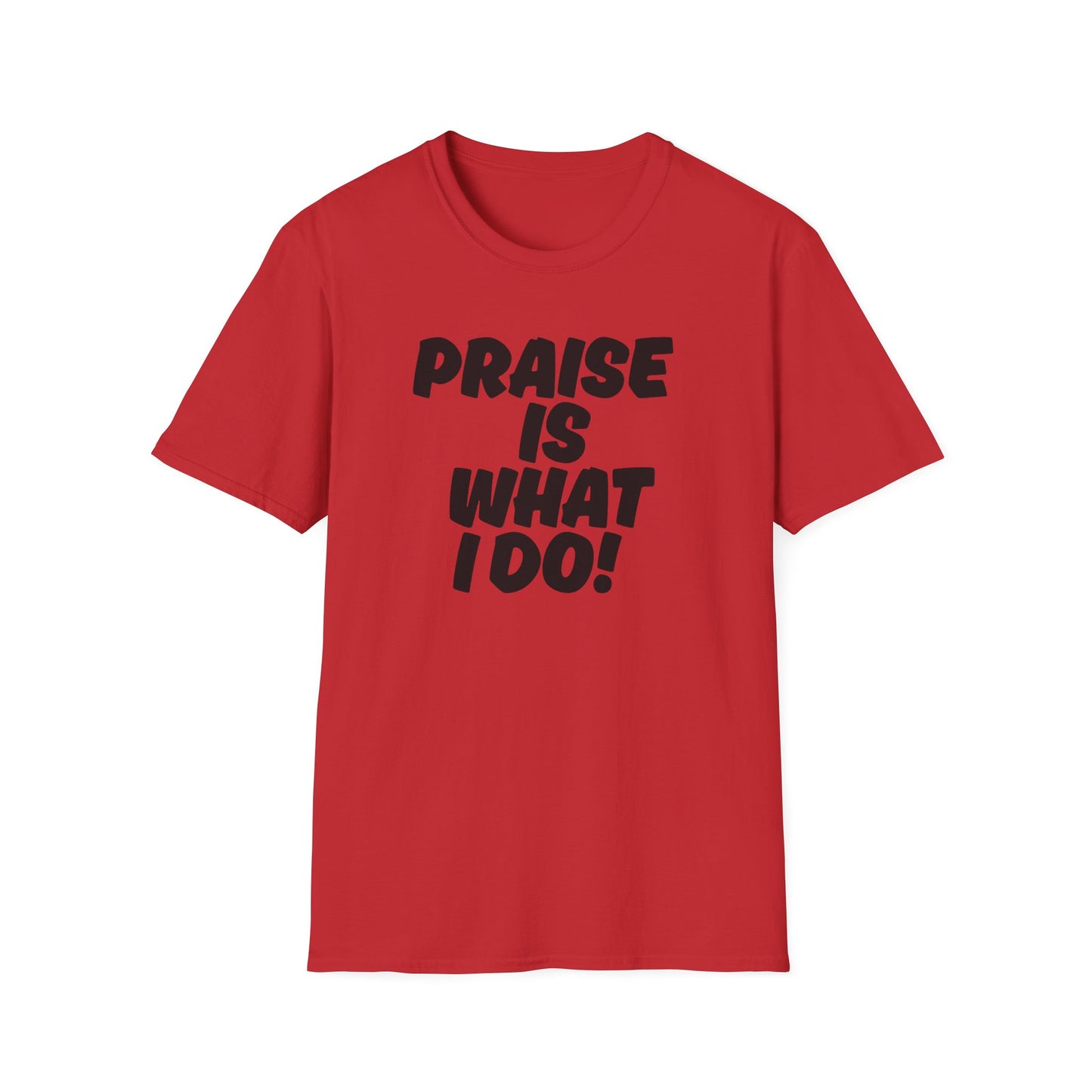 Inspirational Unisex T-Shirt - 'Praise Is What I Do!'