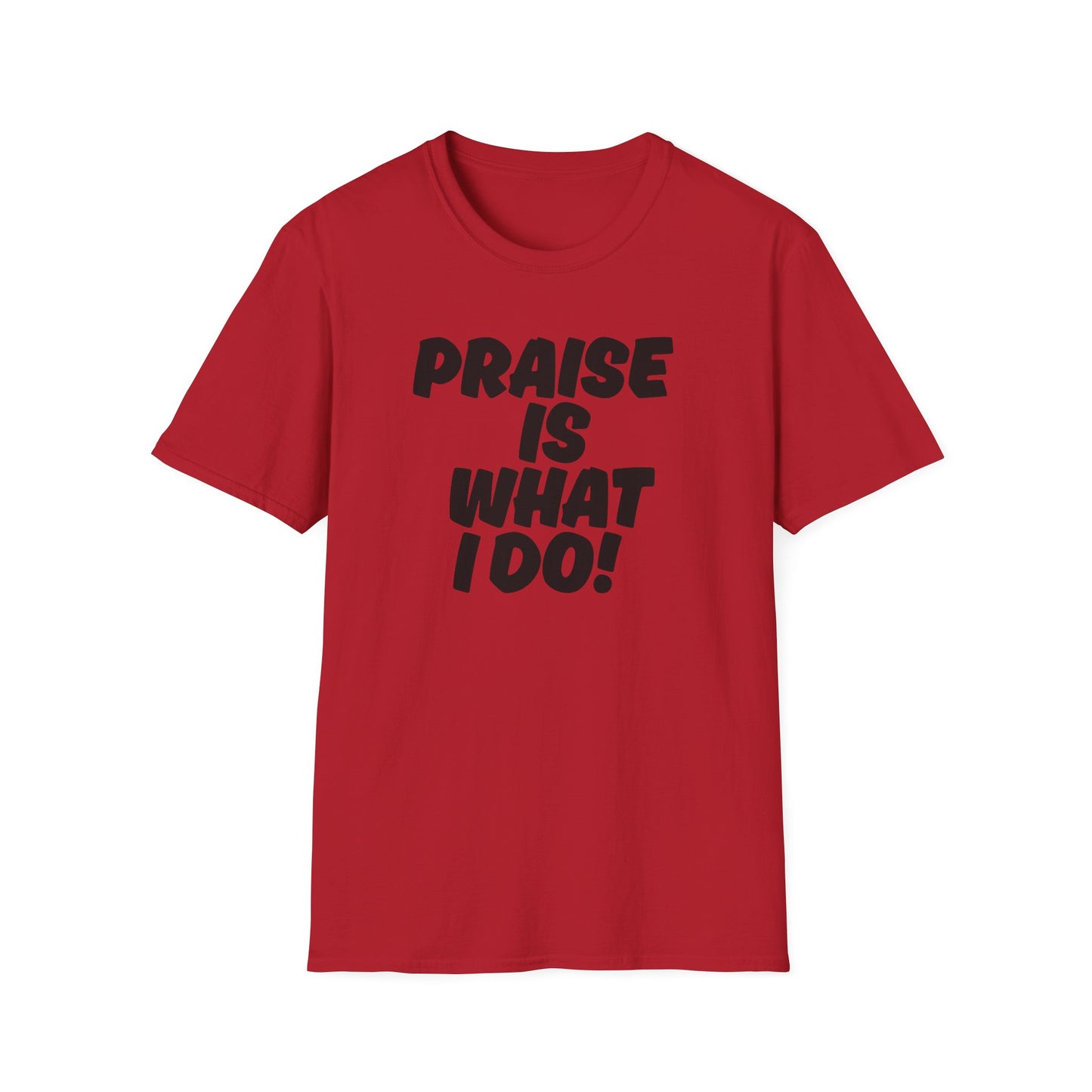 Inspirational Unisex T-Shirt - 'Praise Is What I Do!'