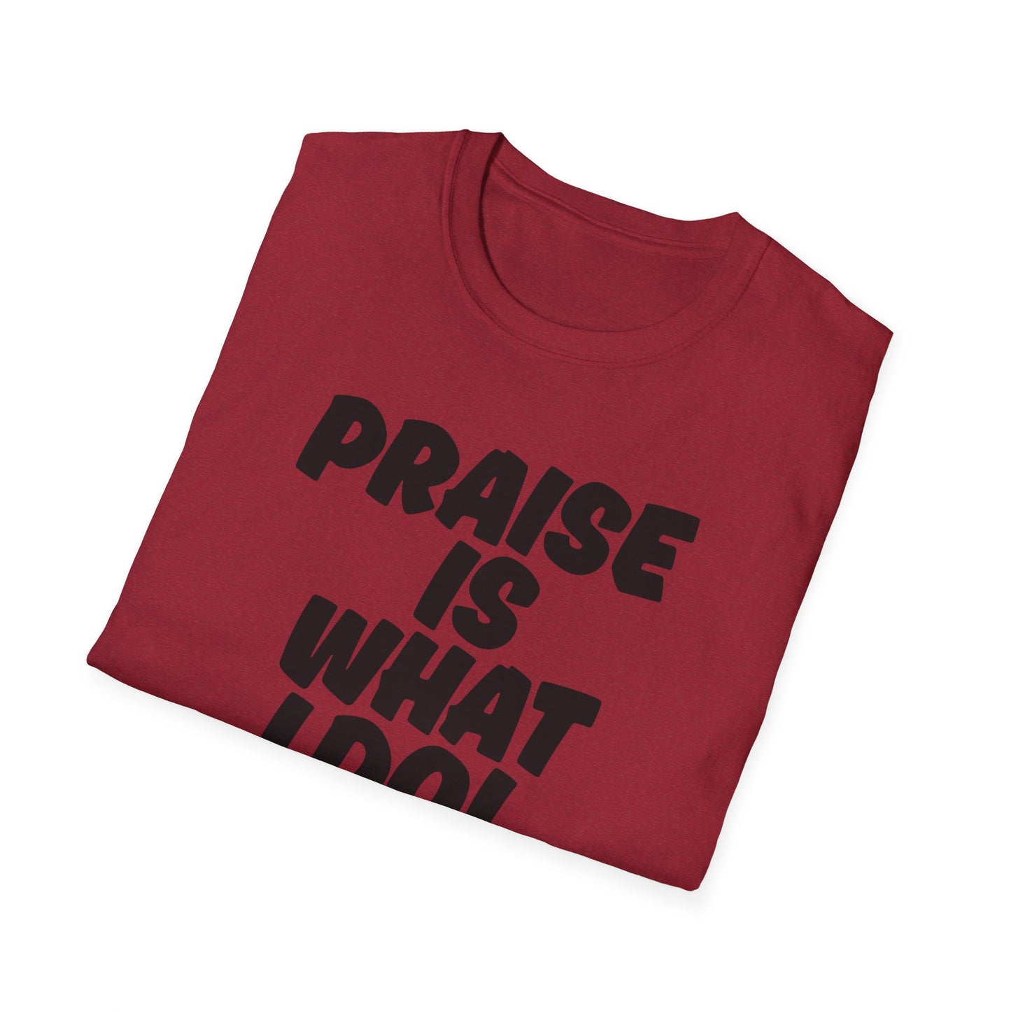 Inspirational Unisex T-Shirt - 'Praise Is What I Do!'