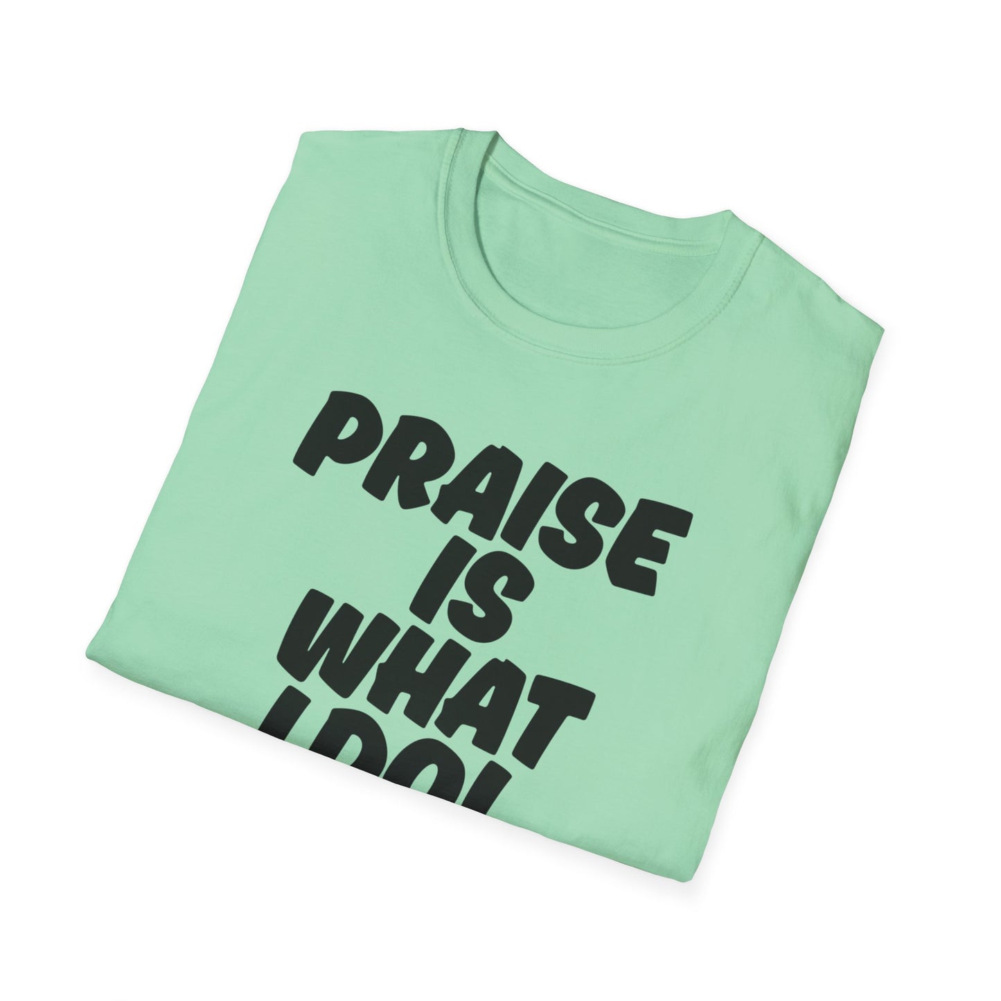 Inspirational Unisex T-Shirt - 'Praise Is What I Do!'