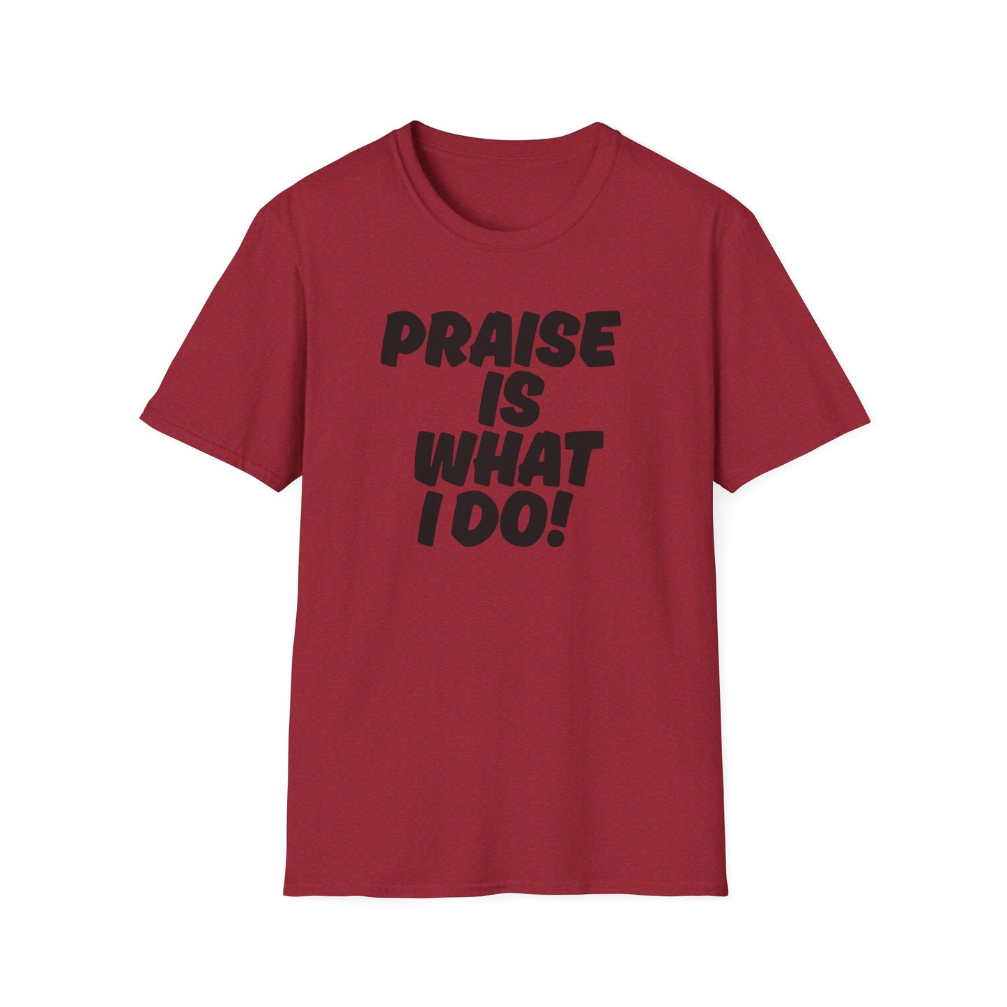 Inspirational Unisex T-Shirt - 'Praise Is What I Do!'