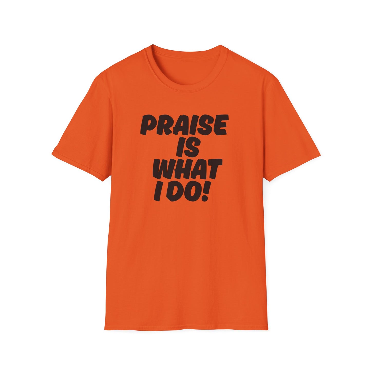 Inspirational Unisex T-Shirt - 'Praise Is What I Do!'