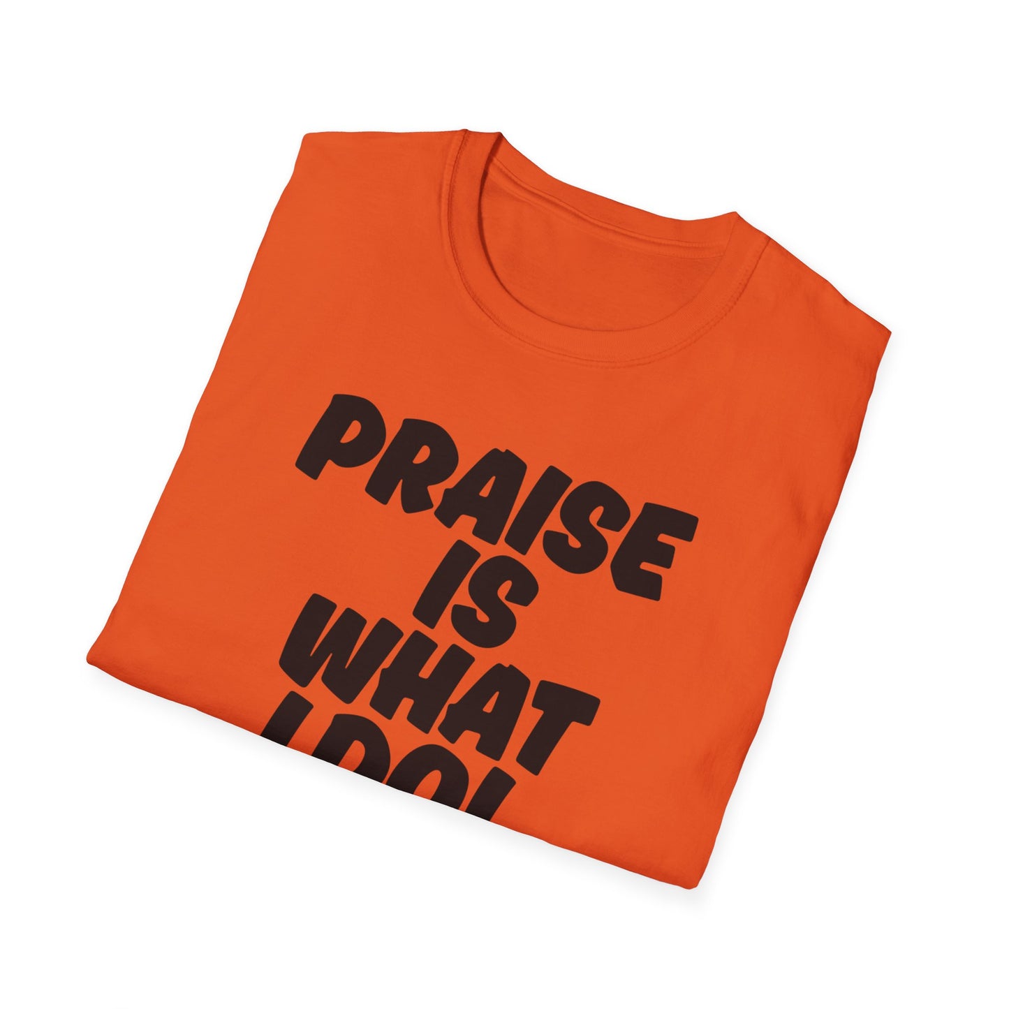 Inspirational Unisex T-Shirt - 'Praise Is What I Do!'