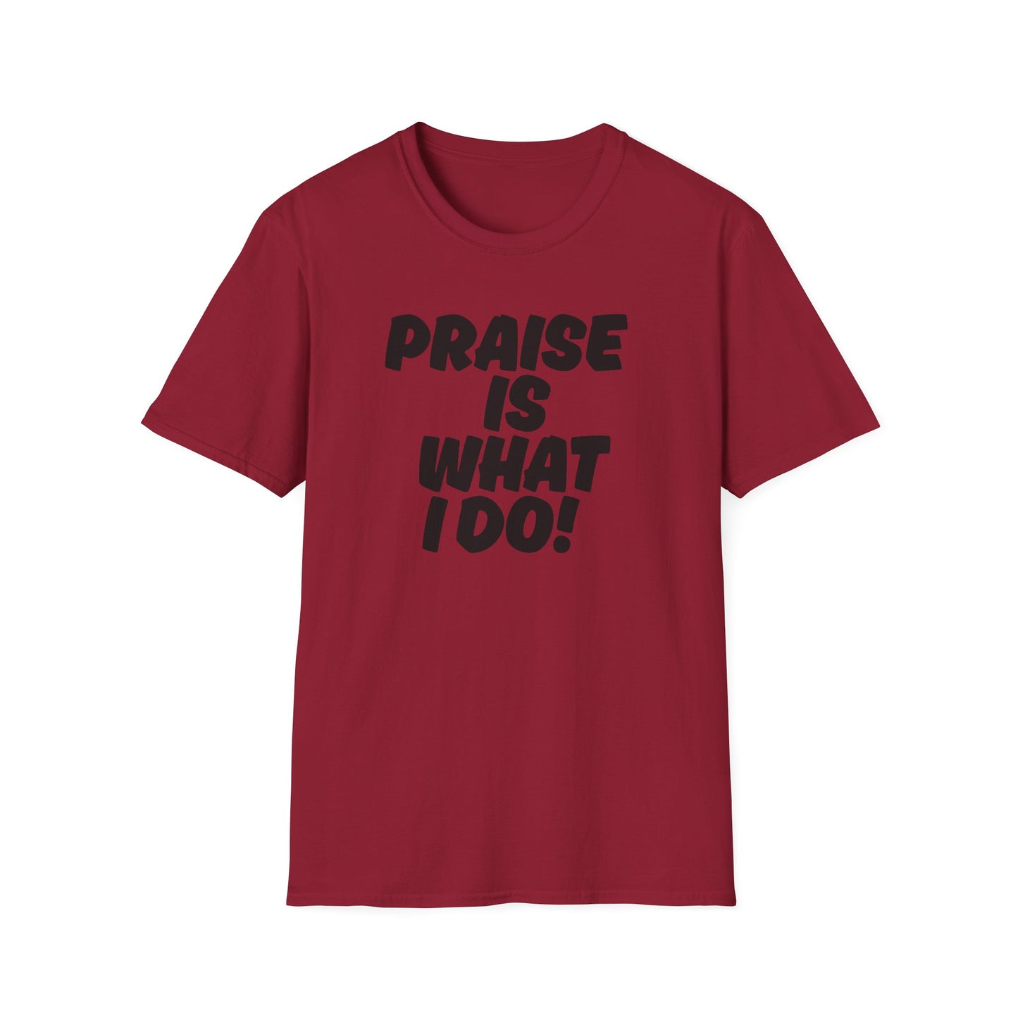 Inspirational Unisex T-Shirt - 'Praise Is What I Do!'