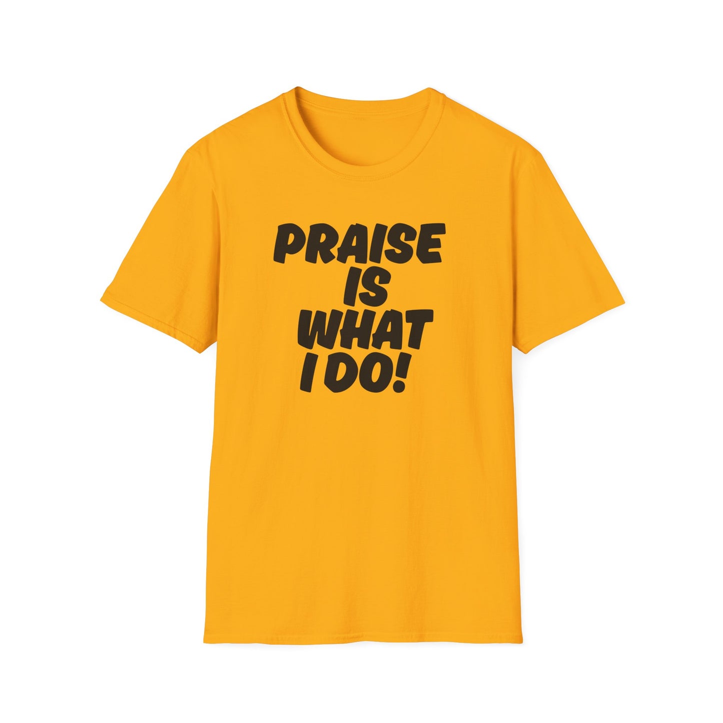Inspirational Unisex T-Shirt - 'Praise Is What I Do!'