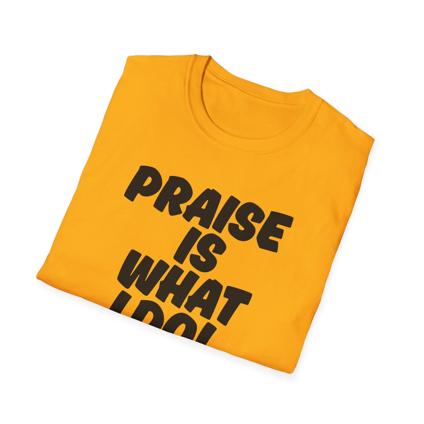 Inspirational Unisex T-Shirt - 'Praise Is What I Do!'
